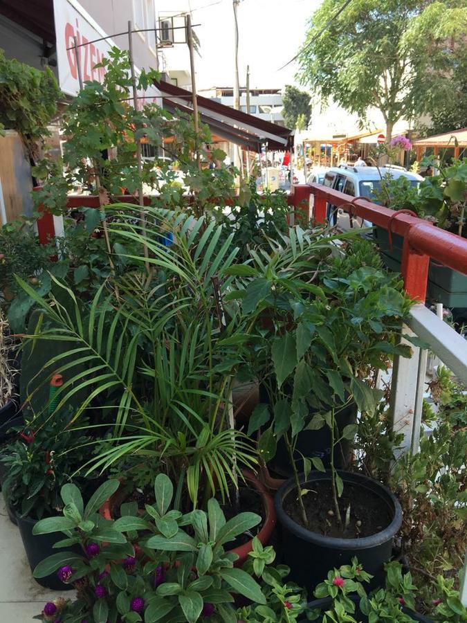 Sakiz Hotel Cesme Bagian luar foto